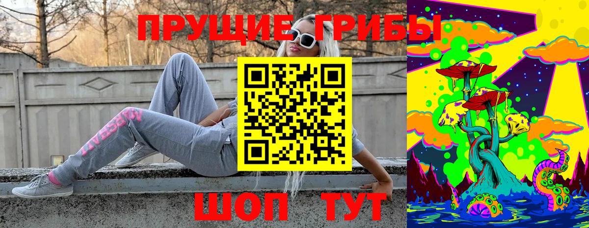 Соль-Илецк  Галлюциногенные грибы ЛСД  Псилоцибиновые грибы GOLDEN TEACHER  купить наркоту  Вход с VPN 