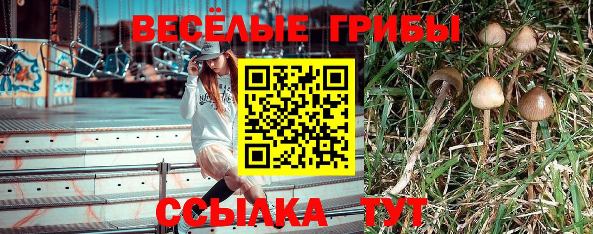 Галлюциногенные грибы MAGIC MUSHROOMS Соль-Илецк